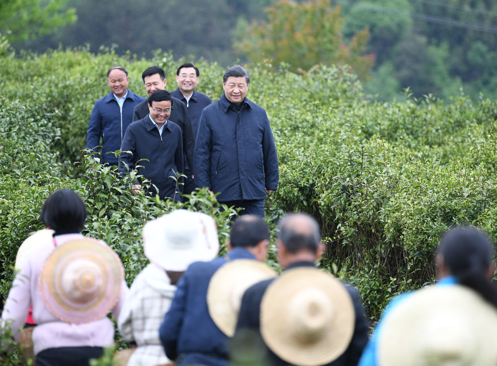 2020年4月21日，習(xí)近平來(lái)到陜西省安康市平利縣老縣鎮(zhèn)，在茶園考察脫貧攻堅(jiān)情況。新華社記者 燕雁 攝